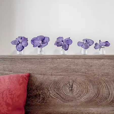 The View By Regina Lägenhet *