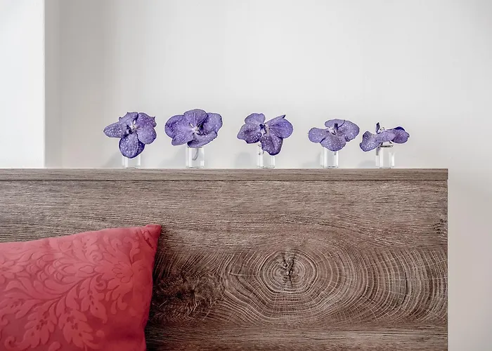 The View By Regina Appartamento *